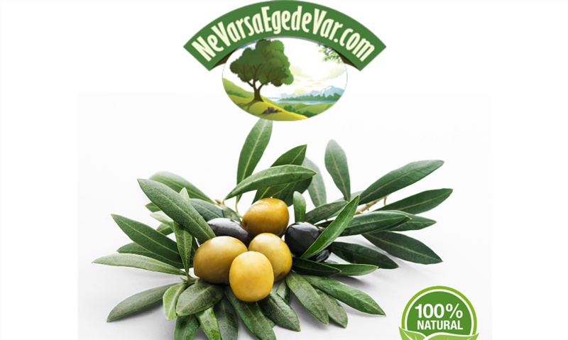 Domat Yeşil Kırma Zeytin