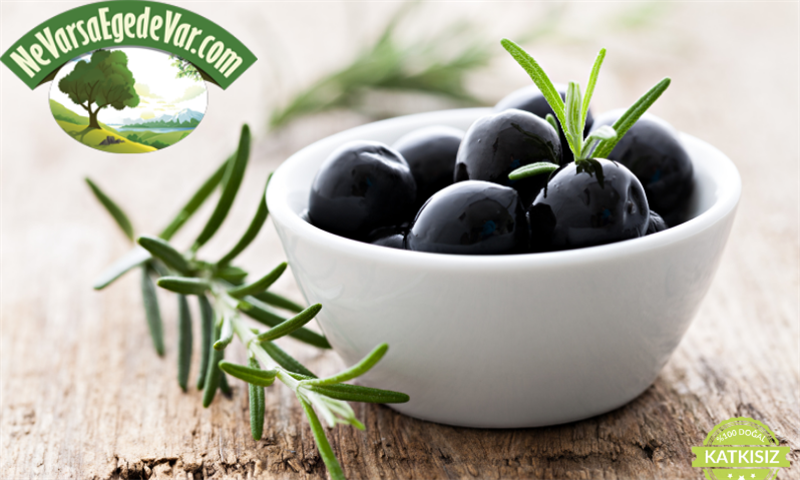 Yağlı Sele Zeytin