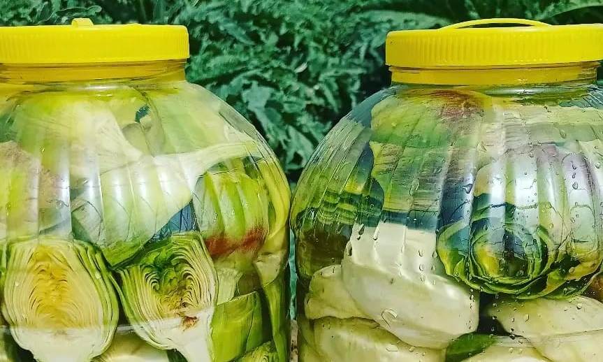 Karışık Enginar
