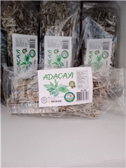 Adaçayı